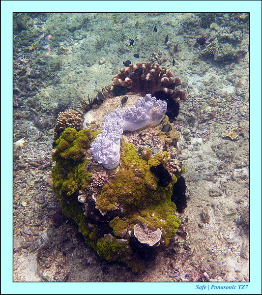 2012 - 07 - Boracay plongee - 08